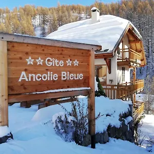 Ancolie Bleue France
